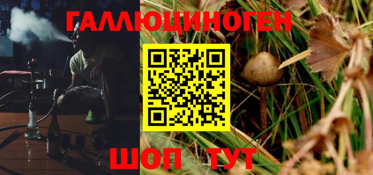 Псилоцибиновые грибы MAGIC MUSHROOMS  Вход с VPN  Псилоцибиновые грибы мицелий  Котельники 